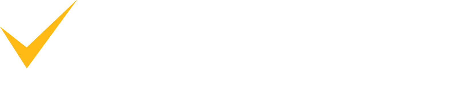 BAP Business Assets & Performance
